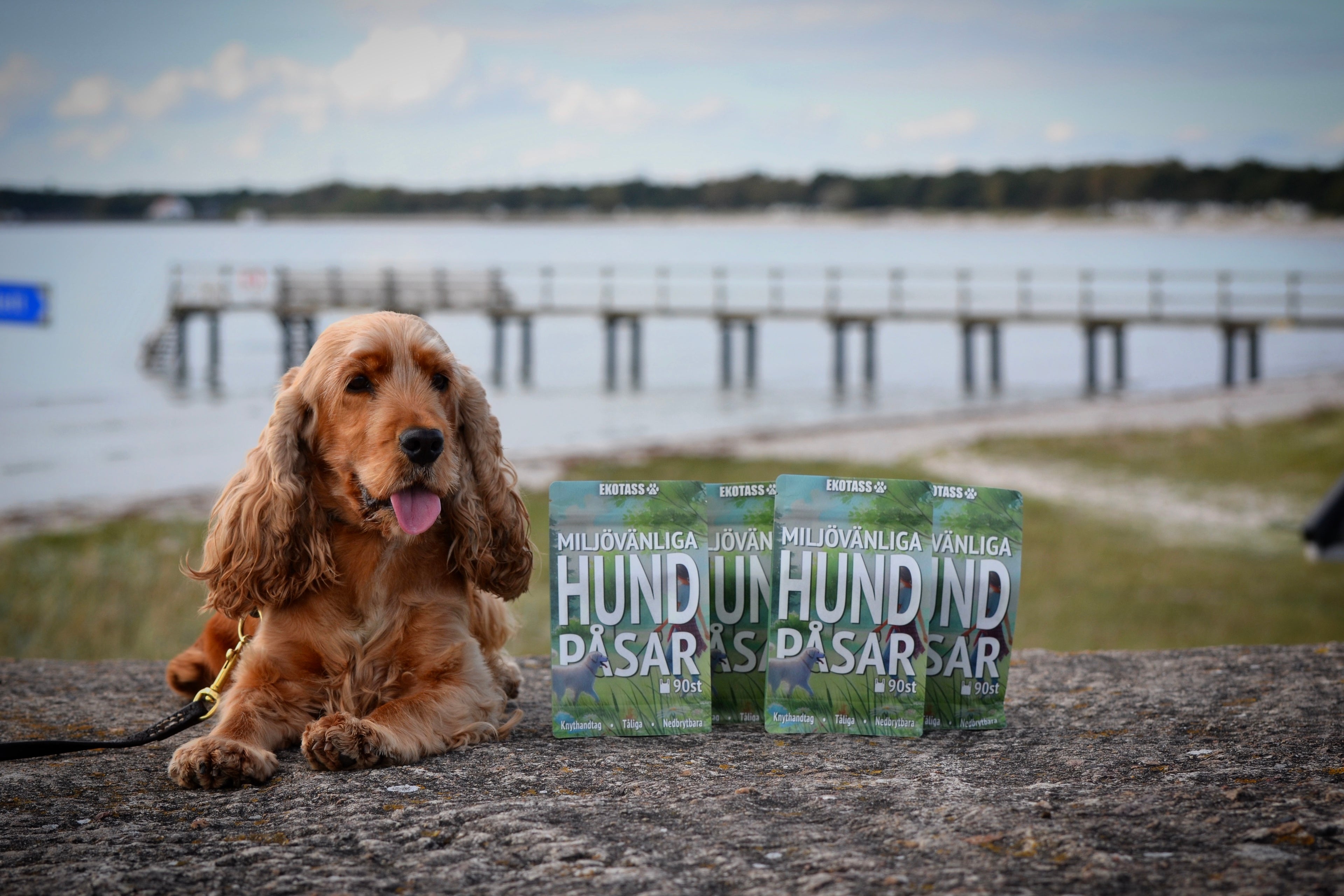 Hund bredvid Ecotass förpackning för miljövänliga hundbajspåsar